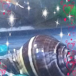 Meet your Posher, Curtis